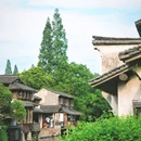 乌镇古镇旅游区 - 嘉兴市旅游 缩略图 4