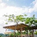 汉唐四季酒店(五一广场火车站地铁口店) - 长沙市旅游 缩略图 4