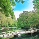 逍遥津公园 - 合肥市旅游 缩略图 4