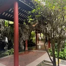 佛山清晖园 - 佛山市旅游 缩略图 7