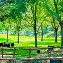 马帮寨·生日主题馆·团建聚餐·宴请·烤肉(空港花田店) - 成都市旅游 缩略图 8