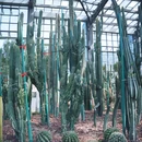 南昌珍奇植物园 - 南昌市旅游 缩略图 3