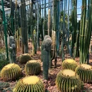 南昌珍奇植物园 - 南昌市旅游 缩略图 5