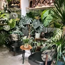 稻香酒家宴会厅·BB宴·年会·喜宴(天河领展店) - 广州市旅游 缩略图 5