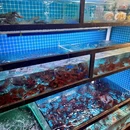 大厨小虾餐厅(秀山店) - 丽水市旅游 缩略图 7