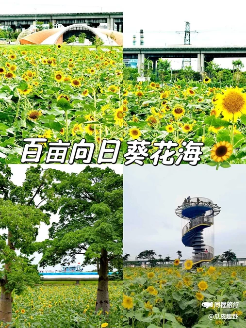 东涌镇官坦农业公园 - 广州市旅游