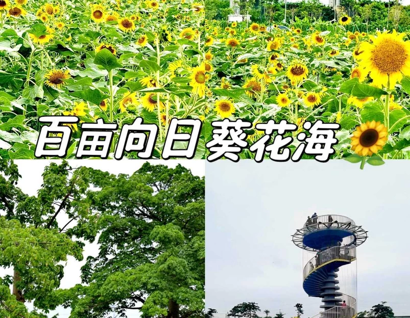 东涌镇官坦农业公园 - 广州市旅游 1