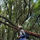 高黎贡山国家级自然保护区 - 怒江傈僳族自治州旅游 缩略图 8