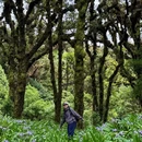 高黎贡山国家级自然保护区 - 怒江傈僳族自治州旅游 缩略图 9