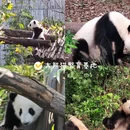 成都大悦城 - 成都市旅游 缩略图 7