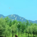 温潭 - 台州市旅游 缩略图 1