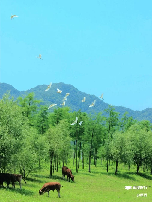 温潭 - 台州市旅游