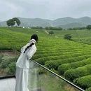 未迟·心池樱花谷度假酒店 - 绍兴市旅游 缩略图 5