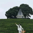 未迟·心池樱花谷度假酒店 - 绍兴市旅游 缩略图 6