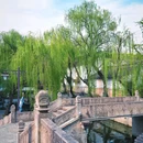 鲁镇 - 绍兴市旅游 缩略图 3