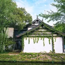 鲁镇 - 绍兴市旅游 缩略图 9