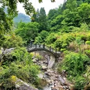 蓬溪文化礼堂 - 温州市旅游 缩略图 4