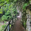 蓬溪文化礼堂 - 温州市旅游 缩略图 8