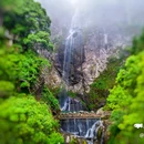 蓬溪文化礼堂 - 温州市旅游 缩略图 9