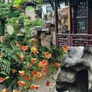 网师园 - 苏州市旅游 缩略图 5