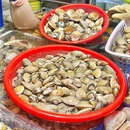 红土坎村 - 三亚市旅游 缩略图 5