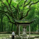 鲁迅故里景区 - 绍兴市旅游 缩略图 7
