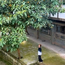 夹关古镇 - 成都市旅游 缩略图 6