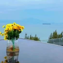 集美区李林小学 - 厦门市旅游 缩略图 7