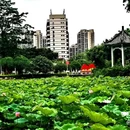 东涌公园 - 广州市旅游 缩略图 3