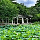 东涌公园 - 广州市旅游 缩略图 2