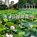 东涌公园 - 广州市旅游 缩略图 1