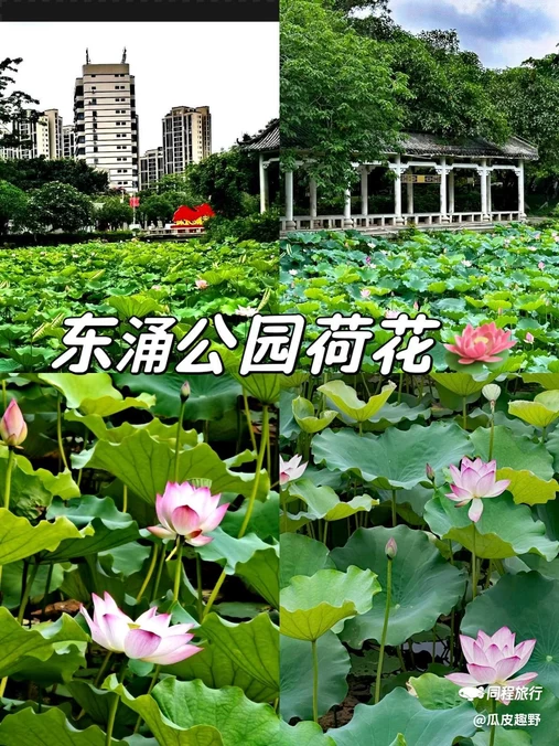 东涌公园 - 广州市旅游