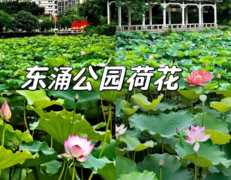 东涌公园 - 广州市旅游 1