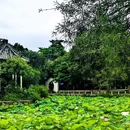 东涌公园 - 广州市旅游 缩略图 8