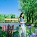 六郎庄公园 - 北京市旅游 缩略图 2