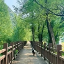 百里山水画廊景区 - 北京市旅游 缩略图 3