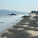 厦门国际会议中心酒店 - 厦门市旅游 缩略图 7