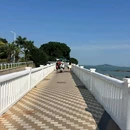 厦门国际会议中心酒店 - 厦门市旅游 缩略图 8
