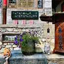 爨底下村 - 北京市旅游 缩略图 4
