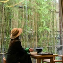 腾冲三宅一界温泉森氧酒店 - 保山市旅游 缩略图 3