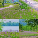 铜鉴湖湖埠p4停车场 - 杭州市旅游 缩略图 1