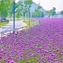 铜鉴湖湖埠p4停车场 - 杭州市旅游 缩略图 4