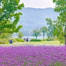 铜鉴湖湖埠p4停车场 - 杭州市旅游 缩略图 6