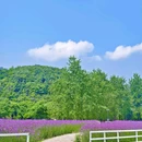 铜鉴湖湖埠p4停车场 - 杭州市旅游 缩略图 7