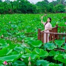 江夏公园 - 佛山市旅游 缩略图 5