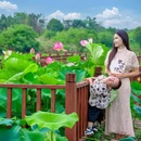 江夏公园 - 佛山市旅游 缩略图 4