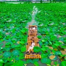 江夏公园 - 佛山市旅游 缩略图 3