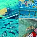 陵水南湾猴岛生态景区 - 陵水黎族自治县旅游 缩略图 3