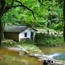 江南天池景区 - 湖州市旅游 缩略图 9
