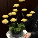 湖南金融中心异国印象酒店 - 长沙市旅游 缩略图 2